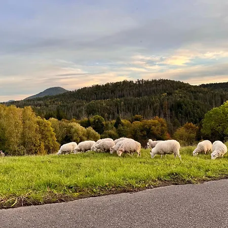 Gasthof Na Vyhlídce