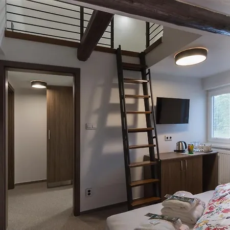 Guest house Mezna 3*